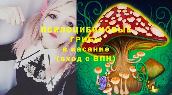 прущие крисы Алексин