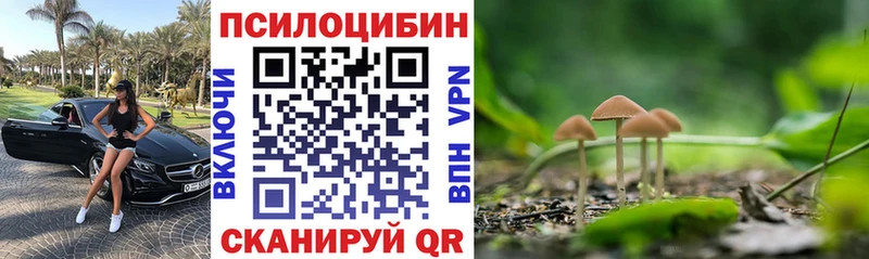 Галлюциногенные грибы Magic Shrooms  Евпатория 