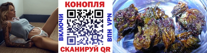 кракен ССЫЛКА  Евпатория  Марихуана сатива 
